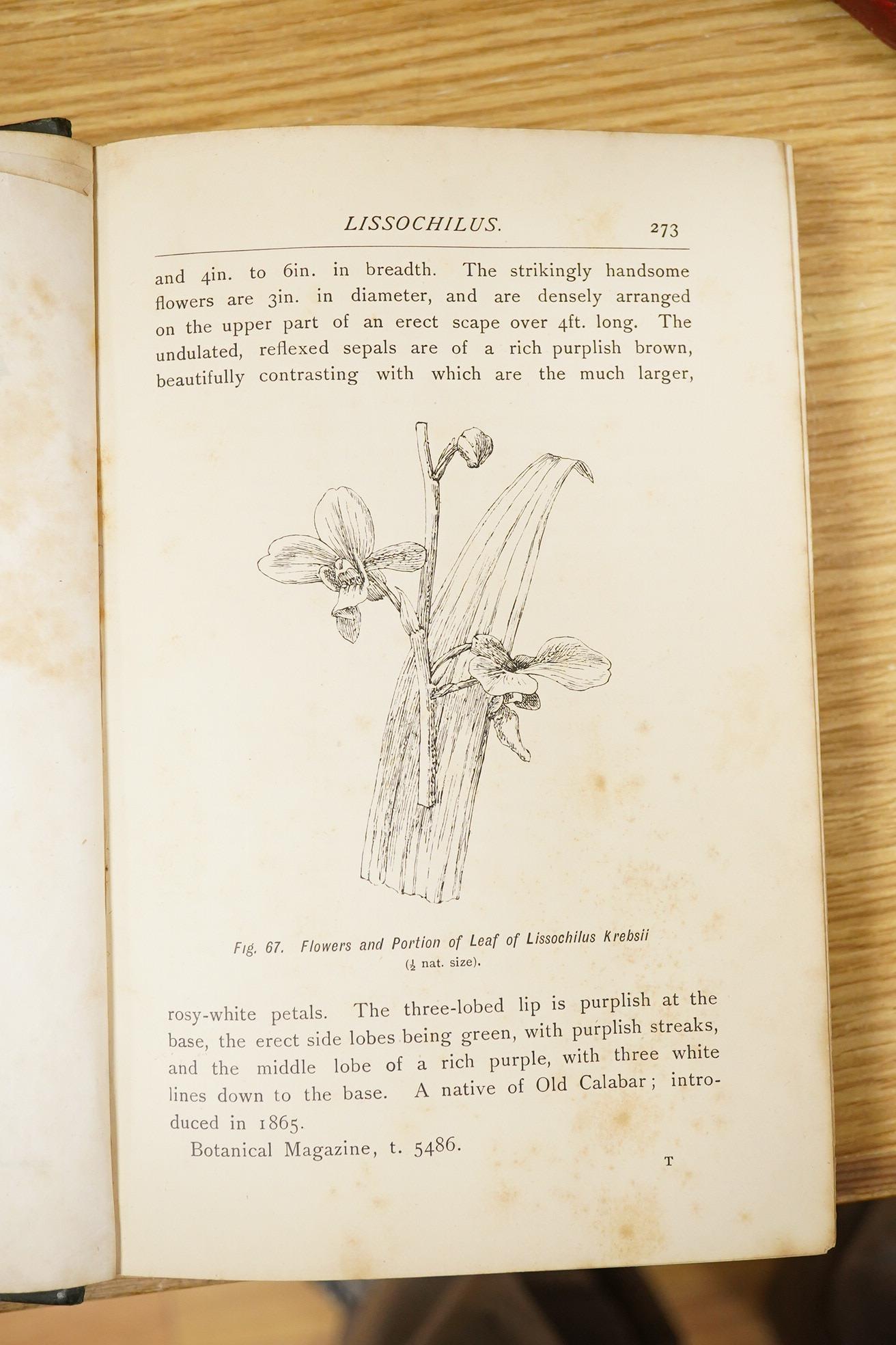 Watson, W. & Bean, W. - Orchids: their culture and management ... (bound as 2 vols). num. colour printed lithographed plates and some others, text illus.; contemp, half calf and marbled boards, gilt panelled spines with